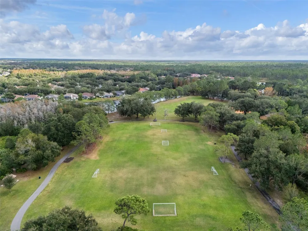 9481 HIGHLAND OAK DRIVE #1709 Tampa, FL 33647