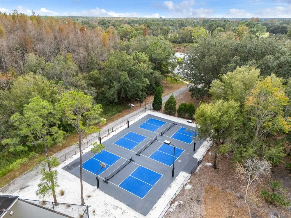 9481 HIGHLAND OAK DRIVE #1709 Tampa, FL 33647
