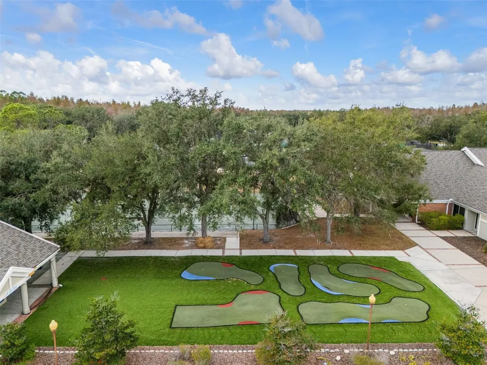 9481 HIGHLAND OAK DRIVE #1709 Tampa, FL 33647