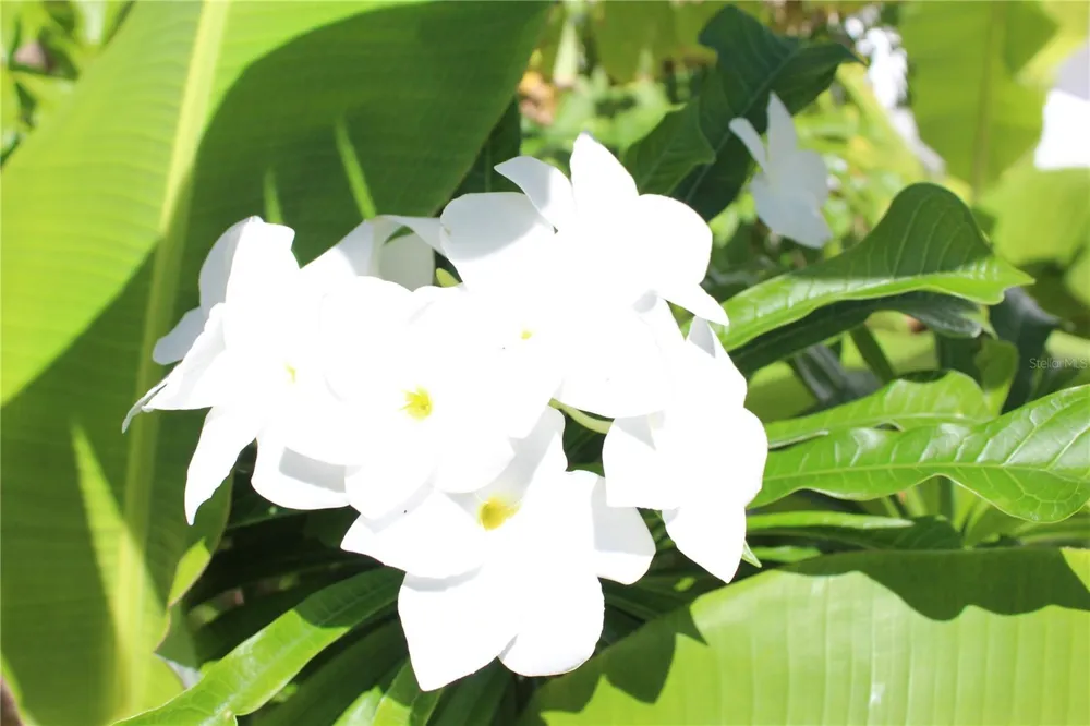 316 EL MAROC Vieques, PR 00765