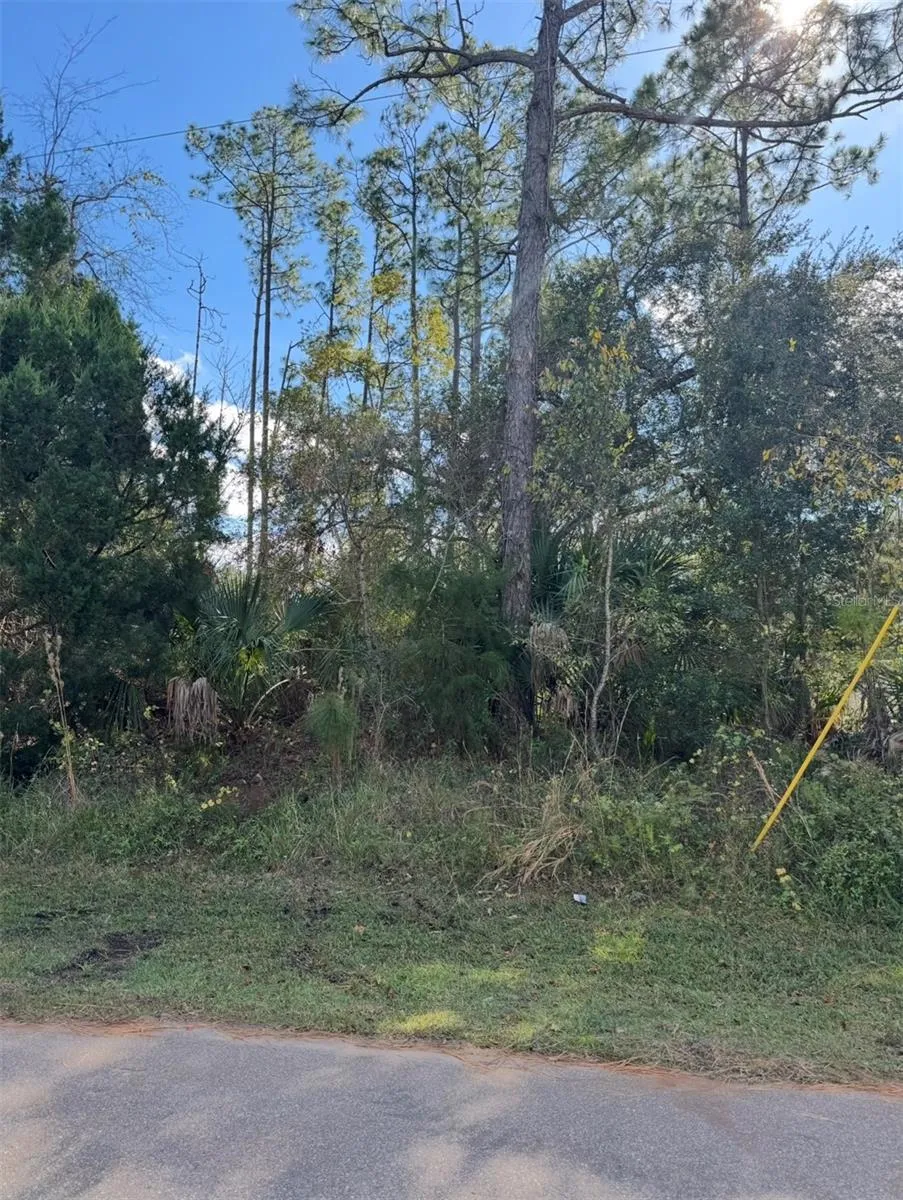 38 SLEEPY HOLLOW TRAIL Palm Coast, FL 32164