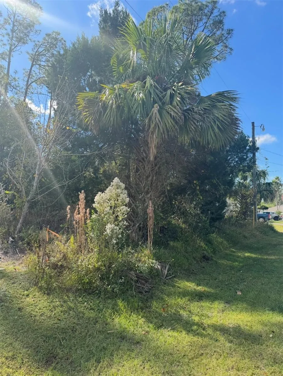 38 SLEEPY HOLLOW TRAIL Palm Coast, FL 32164