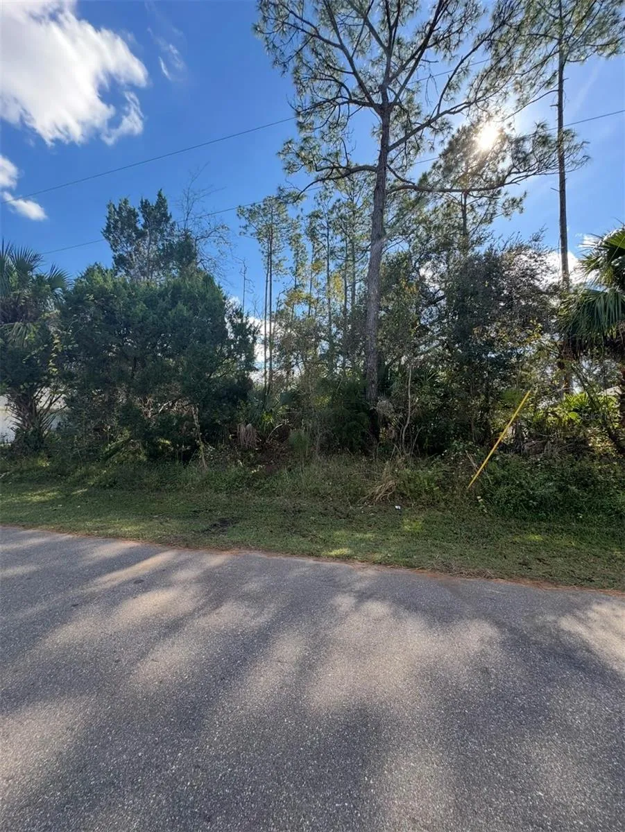 38 SLEEPY HOLLOW TRAIL Palm Coast, FL 32164