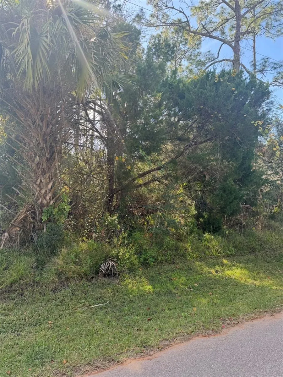 38 SLEEPY HOLLOW TRAIL Palm Coast, FL 32164