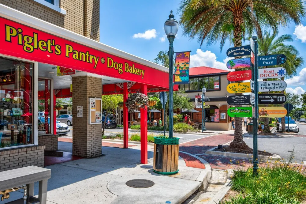 100 S TREMAIN STREET #F1 Mount Dora, FL 32757