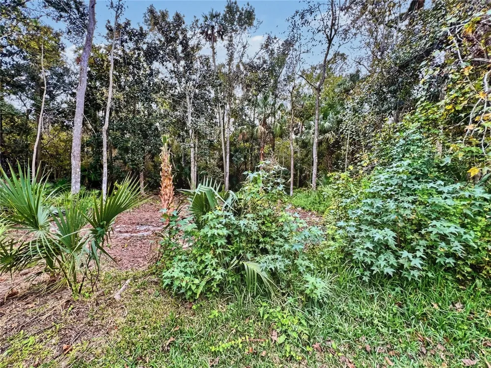 839 LAKE EVALYN DRIVE Celebration, FL 34747