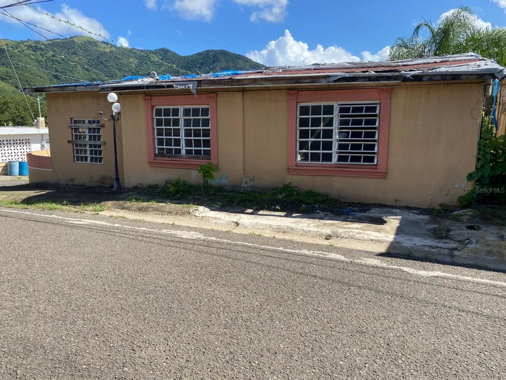 2 CALLE Guayama, PR 00784