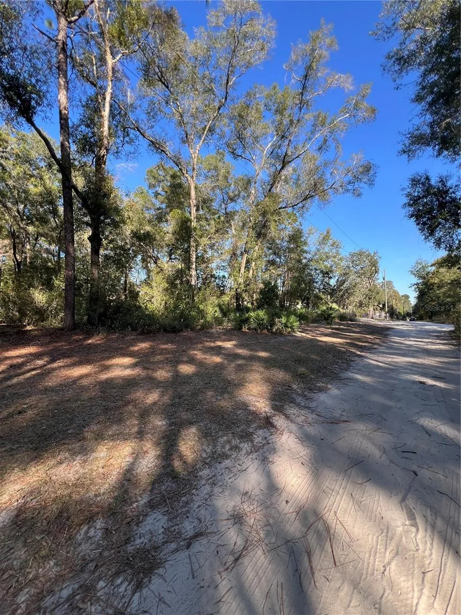 TBD SE 179TH PLACE Summerfield, FL 34491