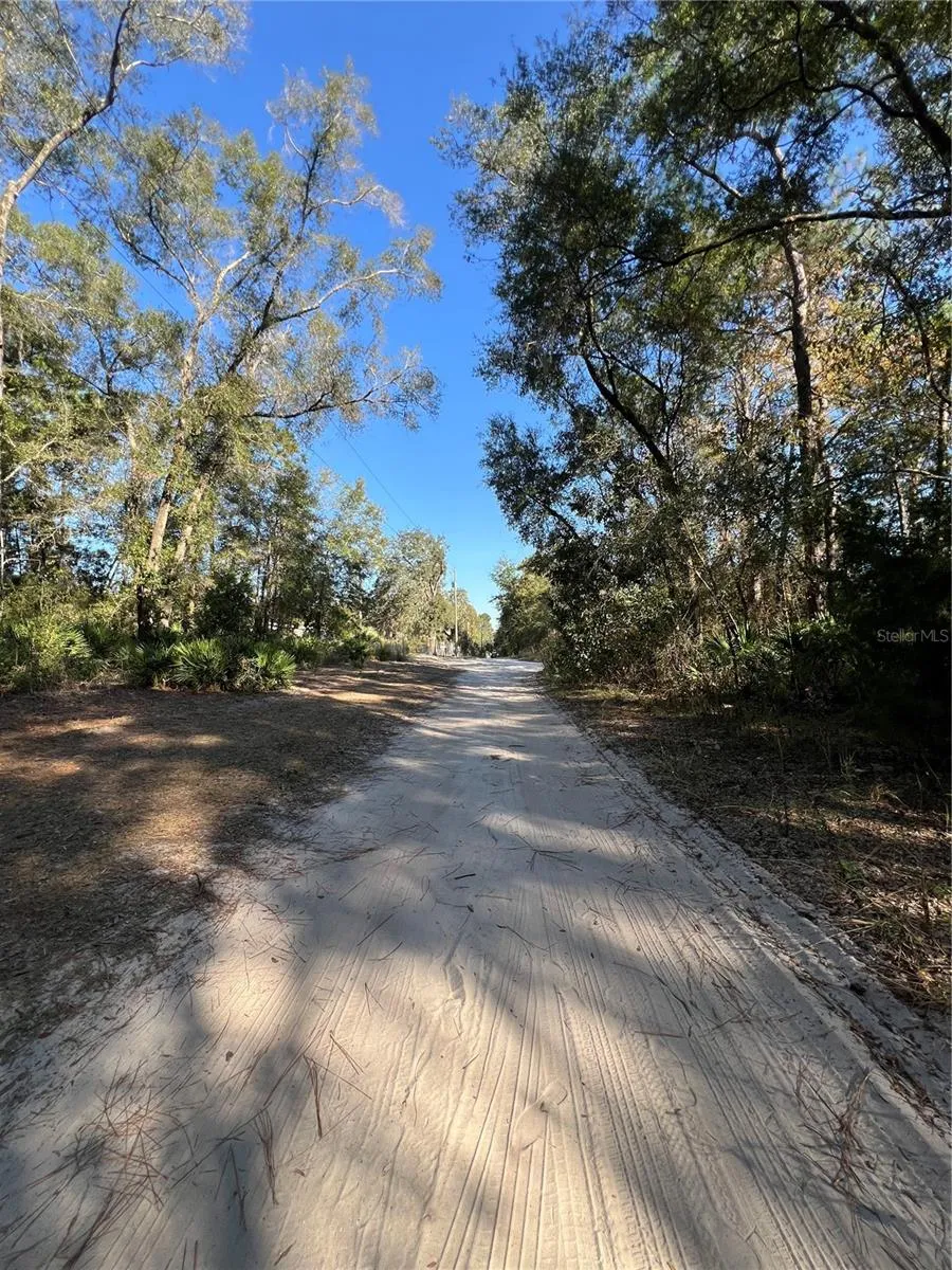 TBD SE 179TH PLACE Summerfield, FL 34491