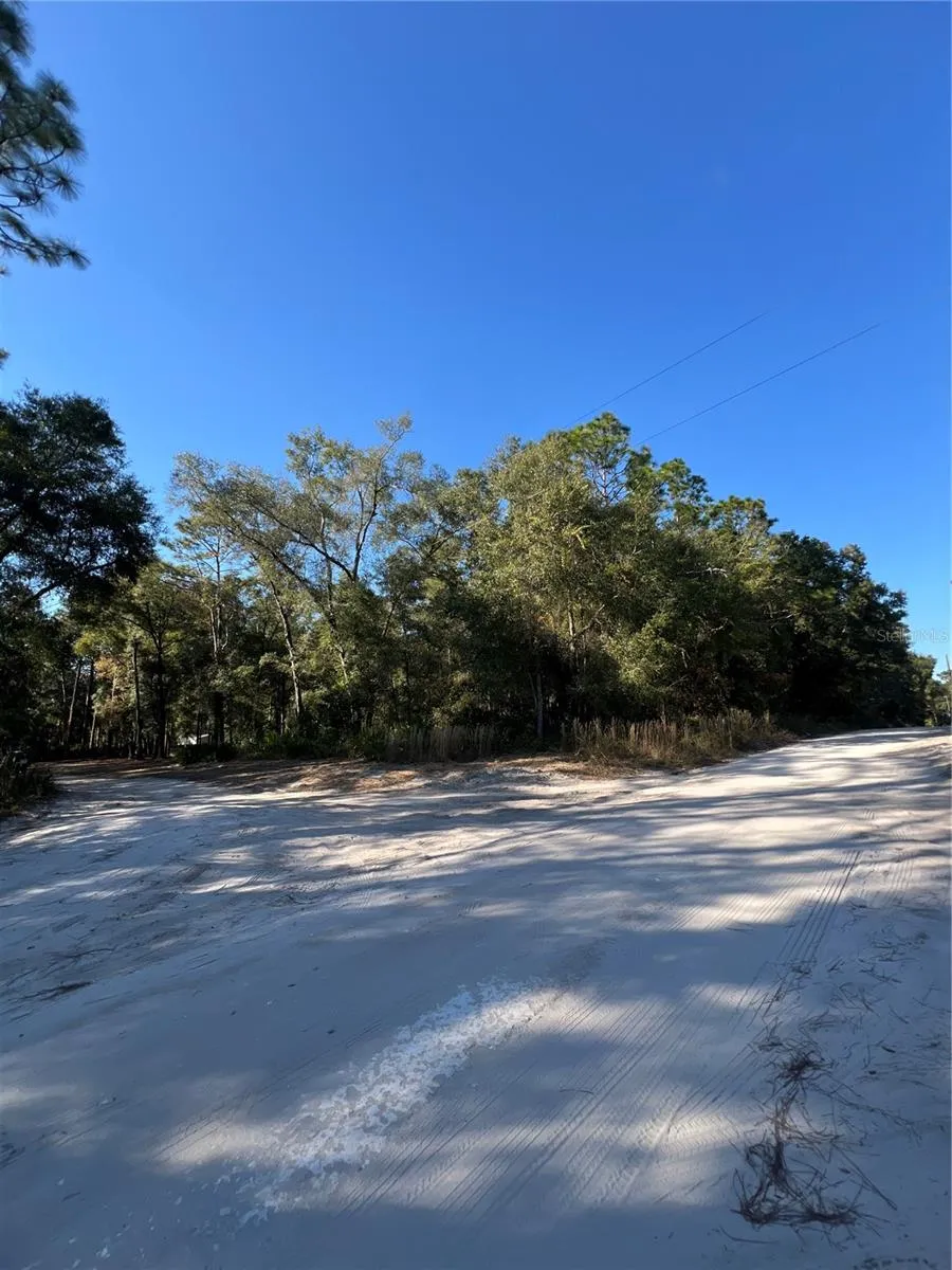 TBD SE 179TH PLACE Summerfield, FL 34491