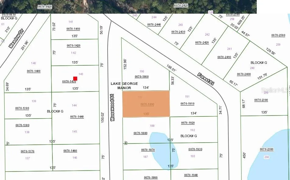 106 MOSSWOOD STREET Georgetown, FL 32139