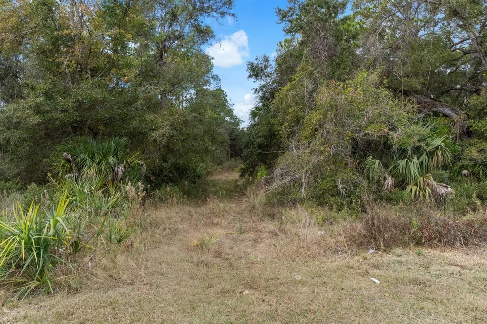 11570 W GARNET COURT Crystal River, FL 34428
