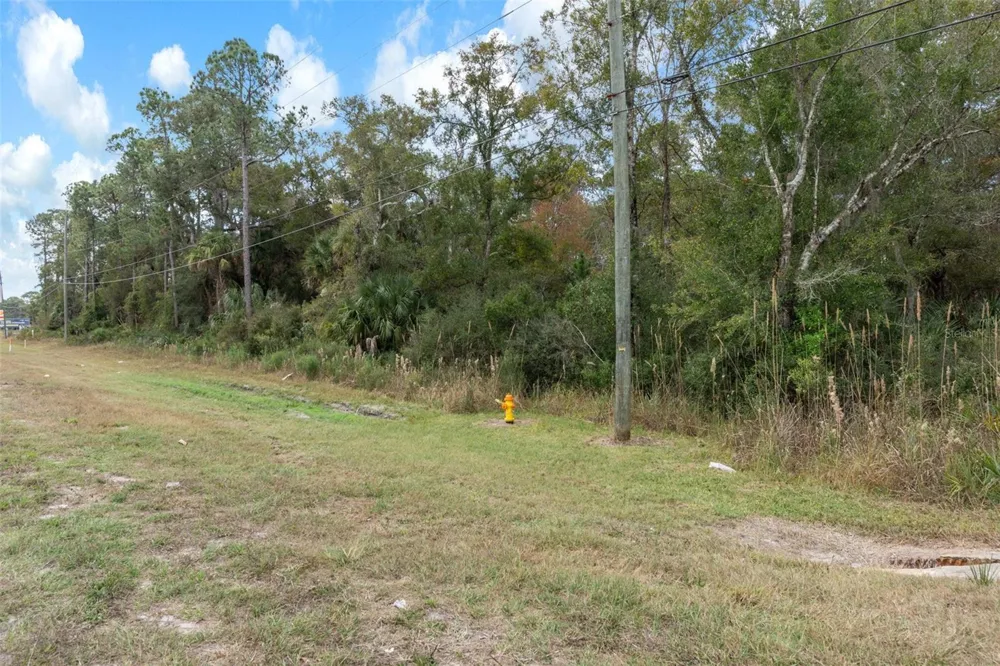 11570 W GARNET COURT Crystal River, FL 34428