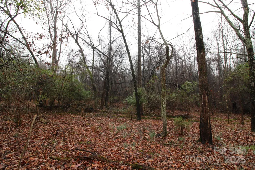 5+/-AC Eaker Road #LOT 1 Bessemer City, NC 28016