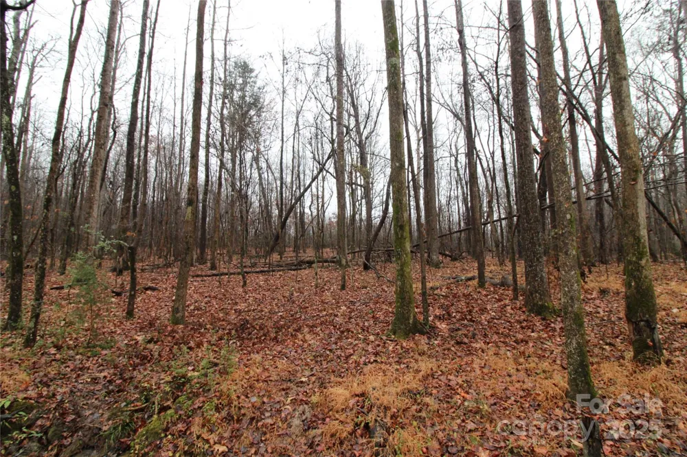 5+/-AC Eaker Road #LOT 1 Bessemer City, NC 28016