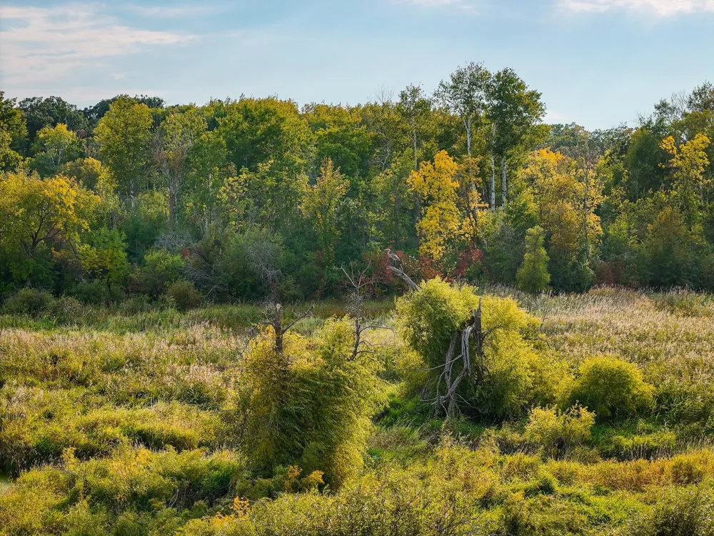 34774 400th ST St SE Fosston, MN 56542