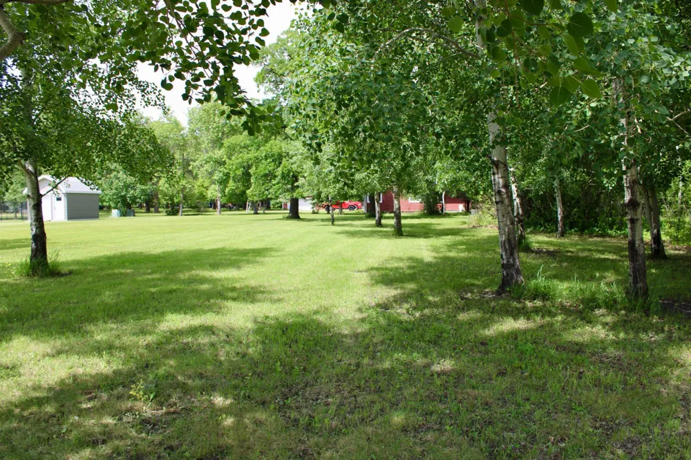 401 Robson Court Thief River Falls, MN 56701