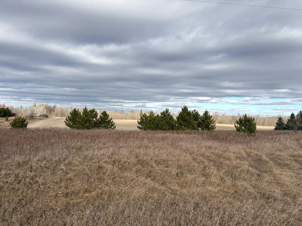 TBD Leaf River Road Ottertail, MN 56571