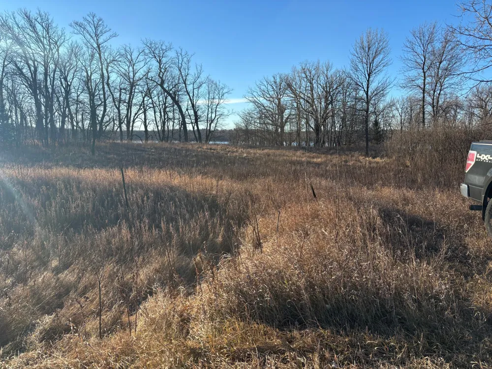 TBD Leaf River Road Ottertail, MN 56571