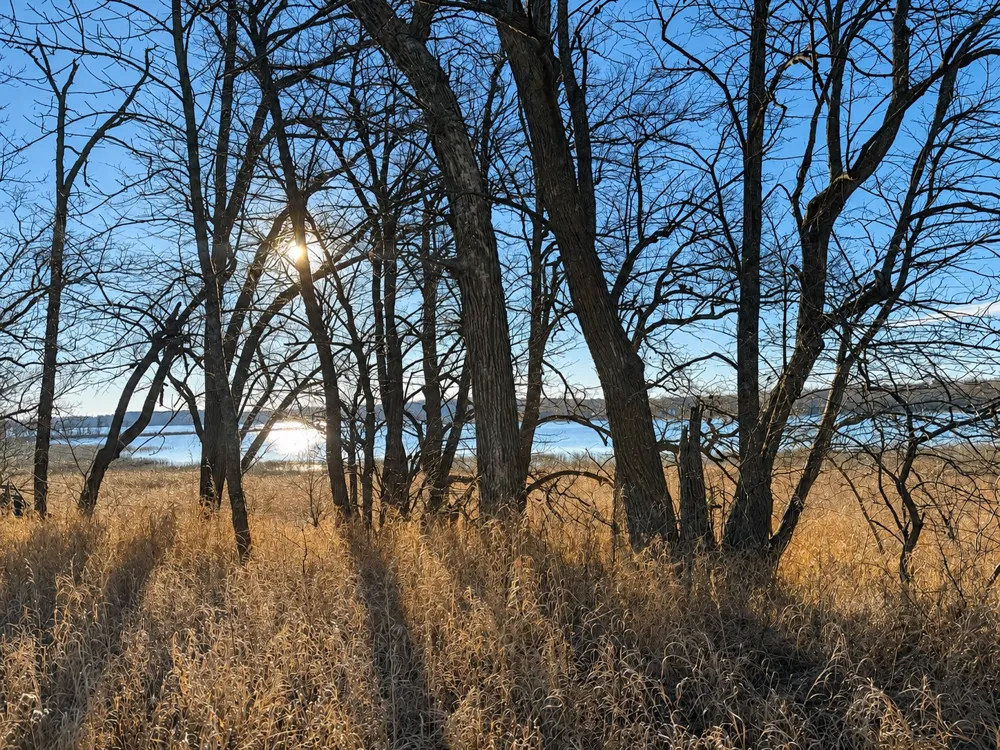 TBD Leaf River Road Ottertail, MN 56571