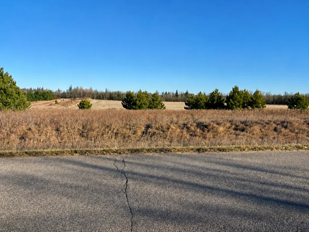 TBD Leaf River Road Ottertail, MN 56571