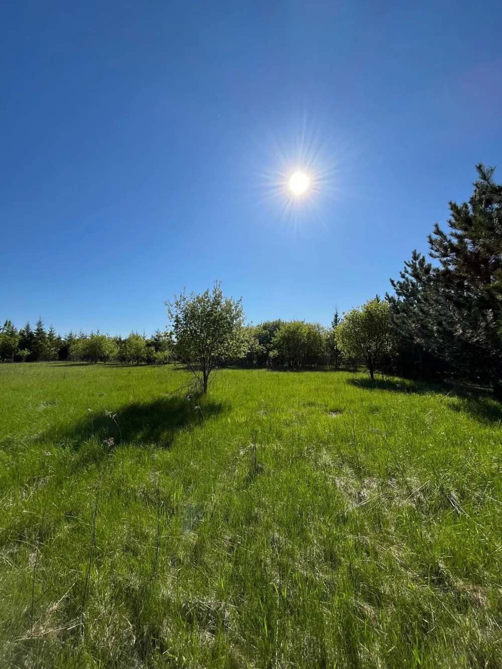 Lot 4 - TBD 330th Street Warroad, MN 56763