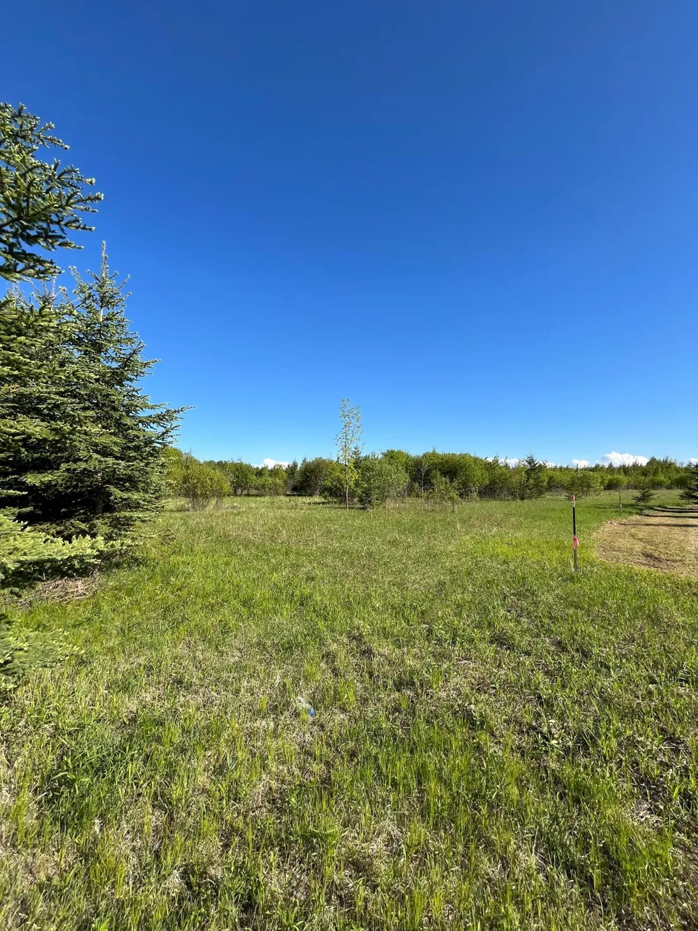 Lot 4 - TBD 330th Street Warroad, MN 56763