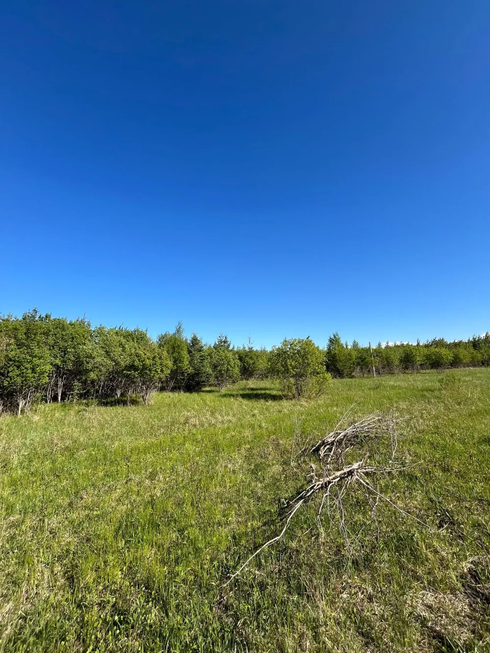 Lot 4 - TBD 330th Street Warroad, MN 56763