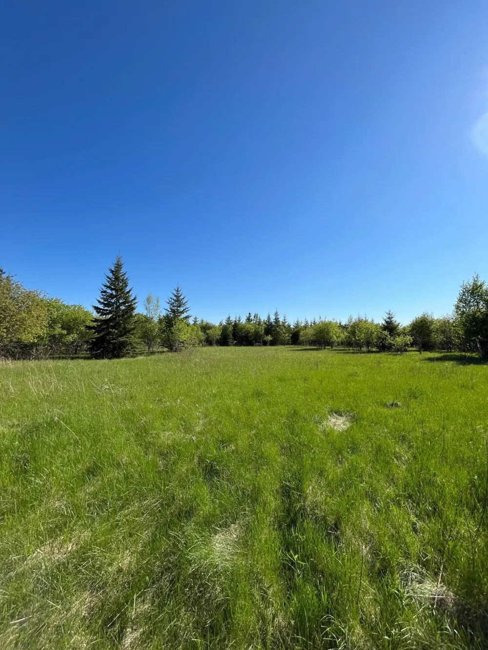 Lot 4 - TBD 330th Street Warroad, MN 56763