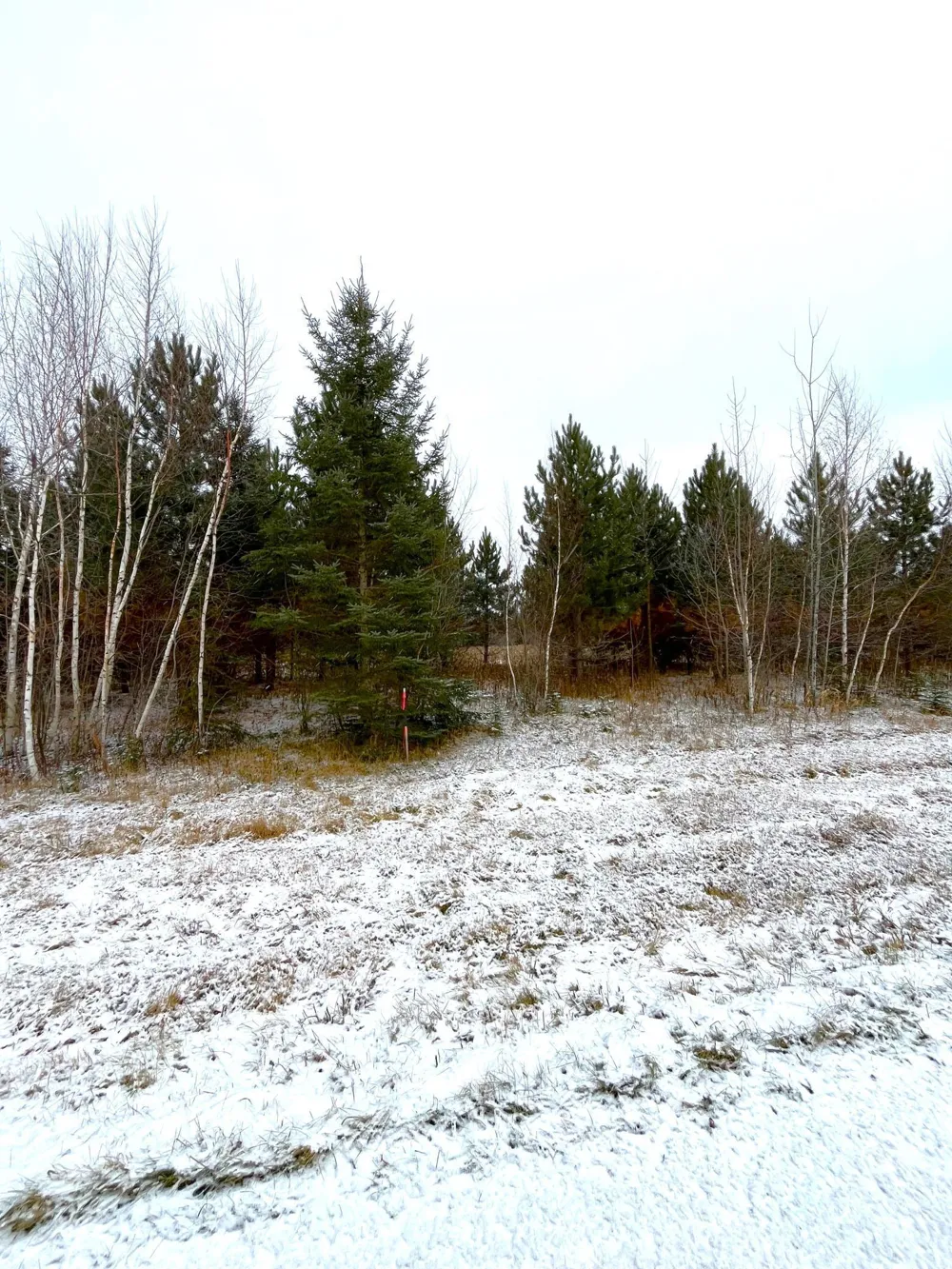 Lot 4 - TBD 330th Street Warroad, MN 56763