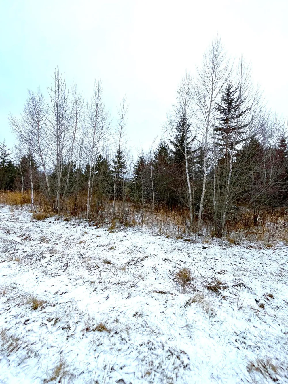 Lot 4 - TBD 330th Street Warroad, MN 56763