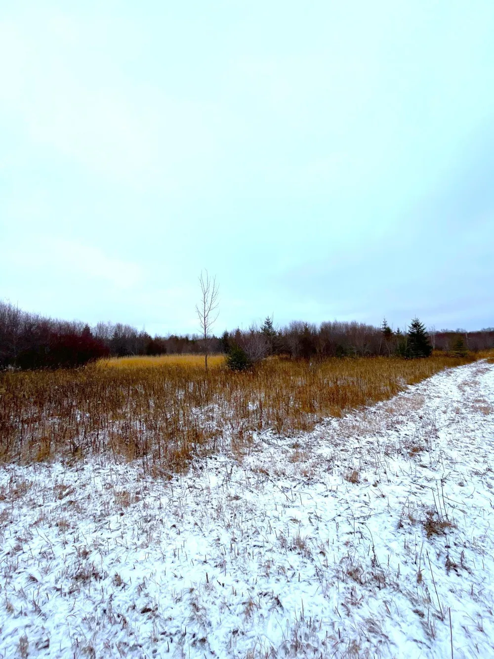 Lot 4 - TBD 330th Street Warroad, MN 56763