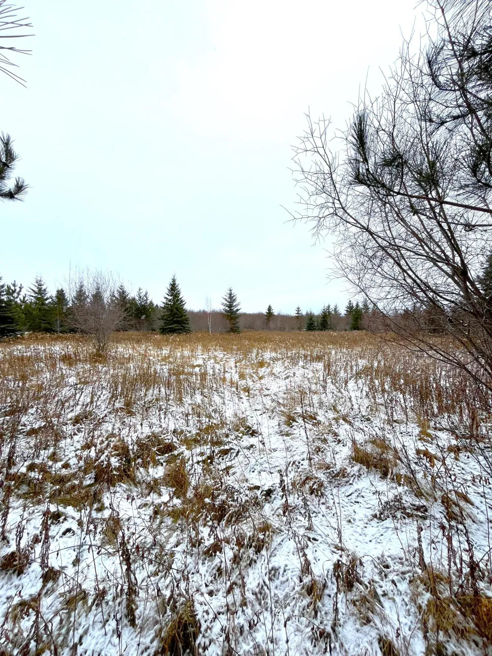 Lot 4 - TBD 330th Street Warroad, MN 56763
