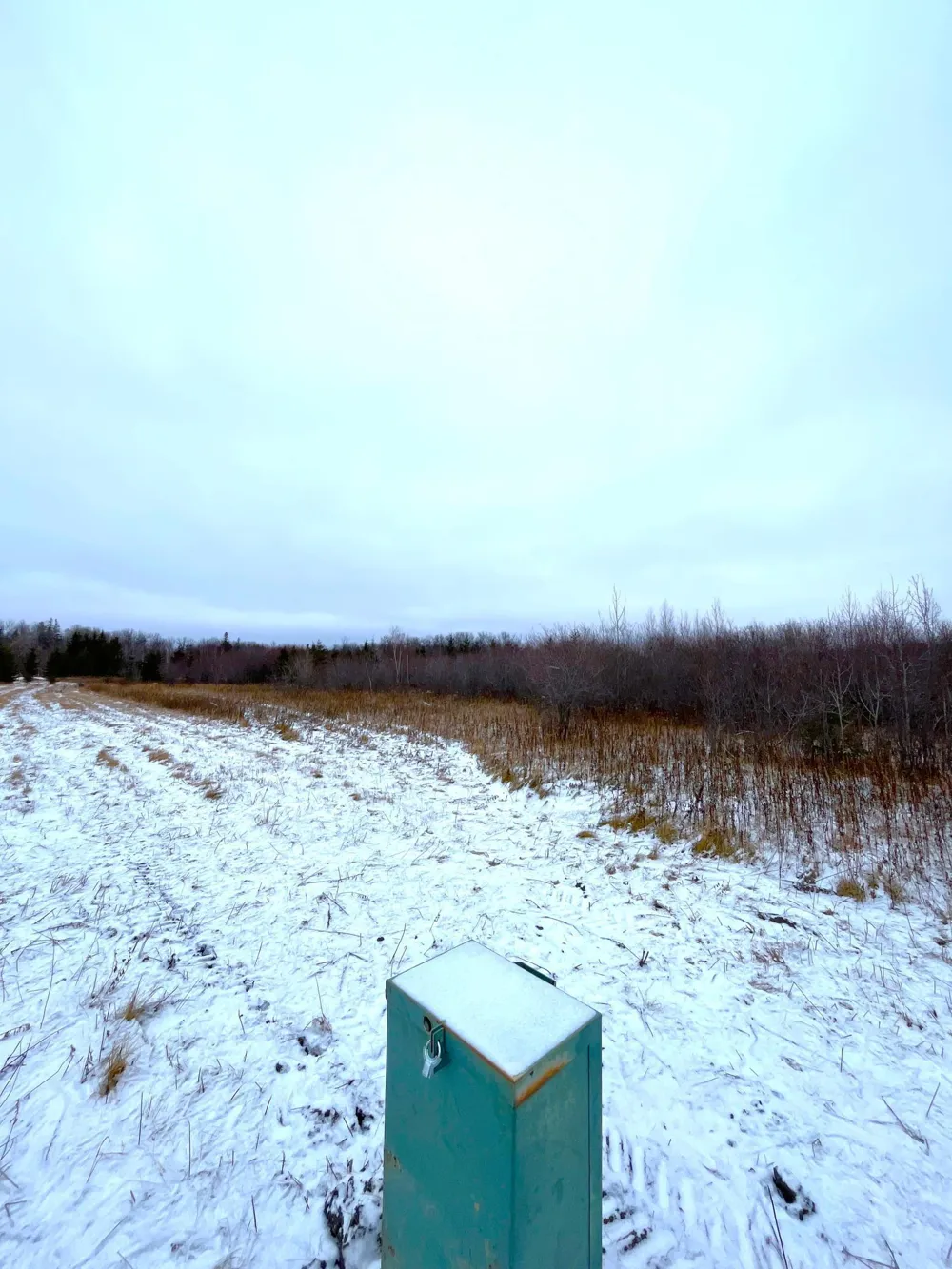 Lot 4 - TBD 330th Street Warroad, MN 56763