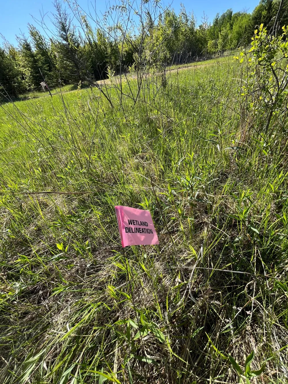 Lot 4 - TBD 330th Street Warroad, MN 56763