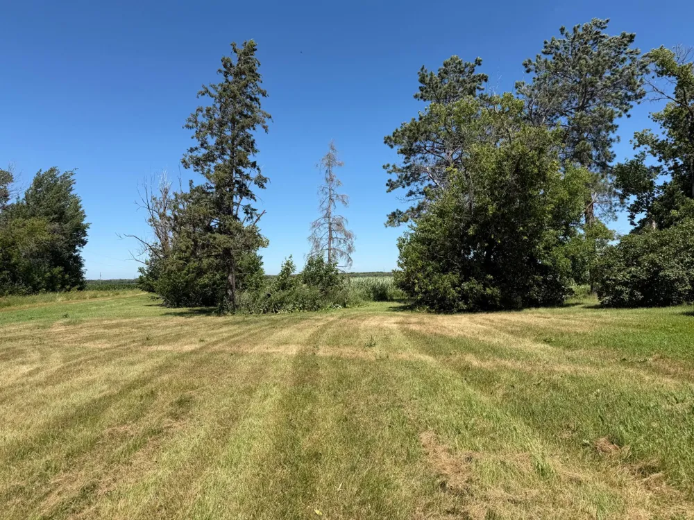 44028 220th Street Roseau, MN 56751