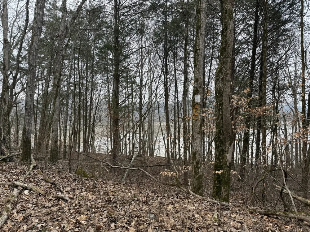 0 Cook Ln Gainesboro, TN 38562
