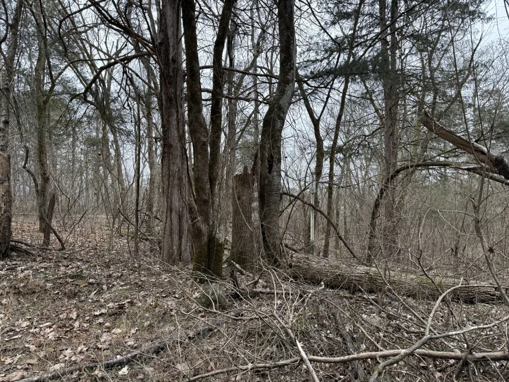 0 Cook Ln Gainesboro, TN 38562