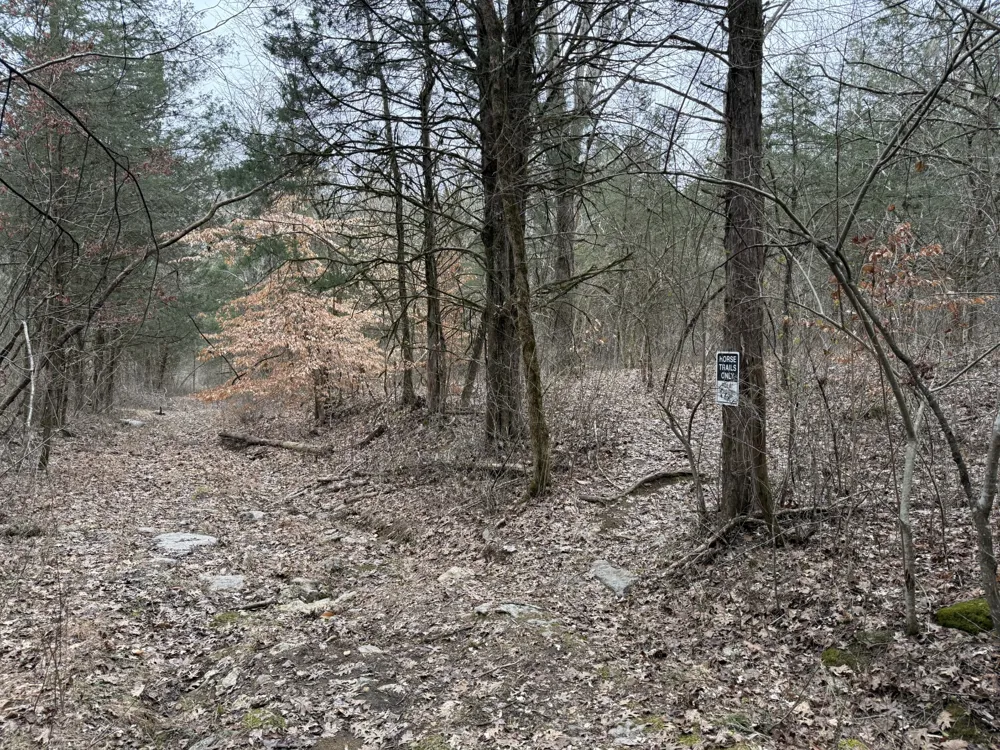 0 Cook Ln Gainesboro, TN 38562