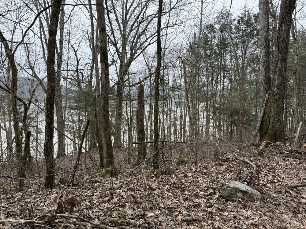 0 Cook Ln Gainesboro, TN 38562