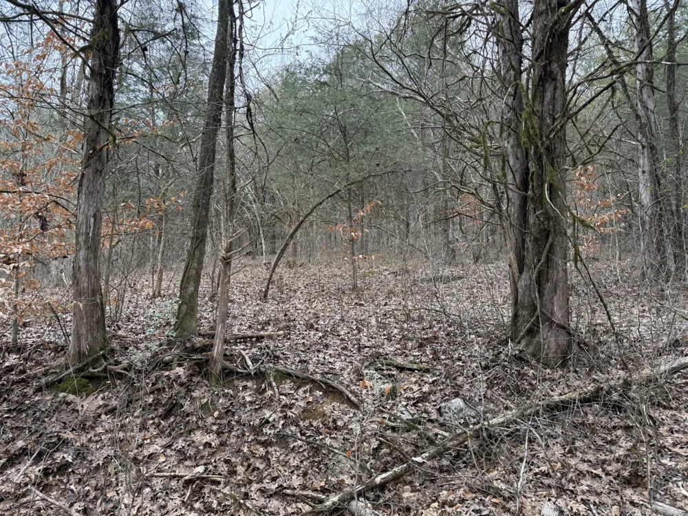 0 Cook Ln Gainesboro, TN 38562