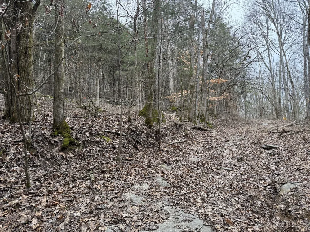 0 Cook Ln Gainesboro, TN 38562