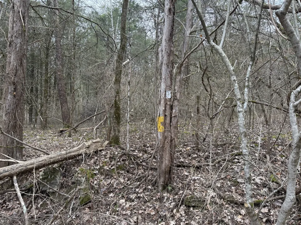 0 Cook Ln Gainesboro, TN 38562