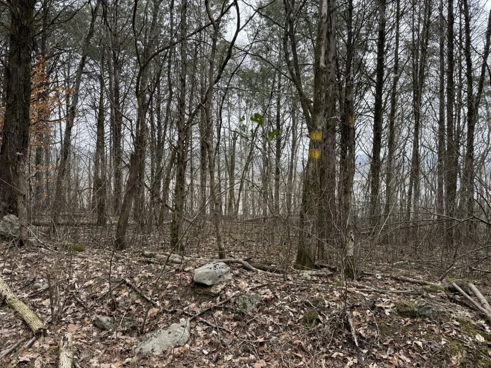 0 Cook Ln Gainesboro, TN 38562