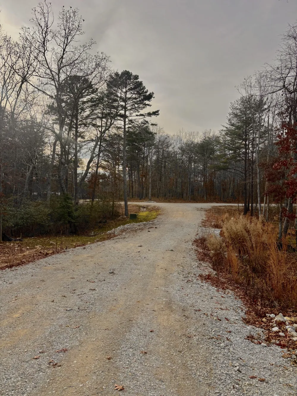 0 Summerfield Road Monteagle, TN 37356