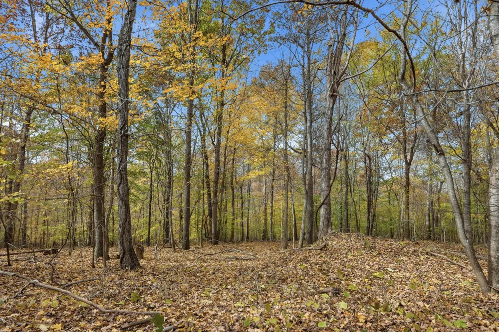 0 Vaughn Lane Indian Mound, TN 37079