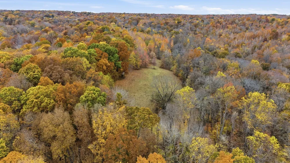 0 Vaughn Lane Indian Mound, TN 37079