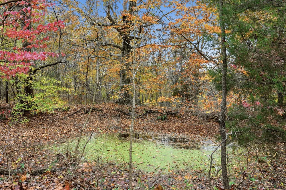 0 Vaughn Lane Indian Mound, TN 37079