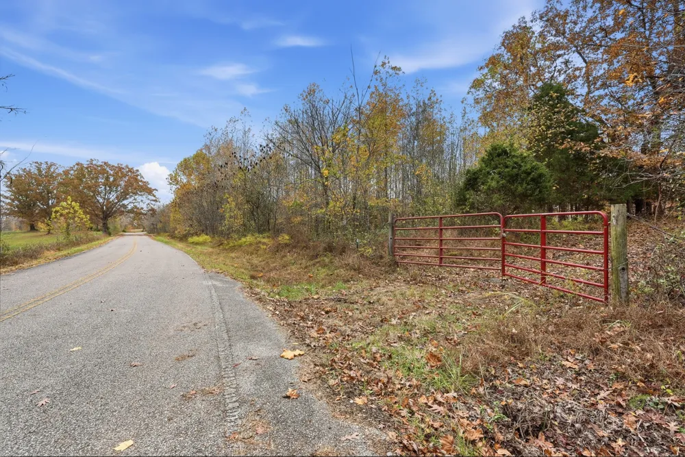 0 Vaughn Lane Indian Mound, TN 37079