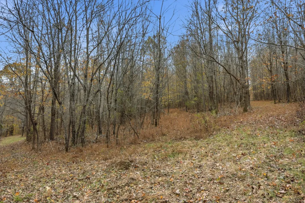 0 Vaughn Lane Indian Mound, TN 37079